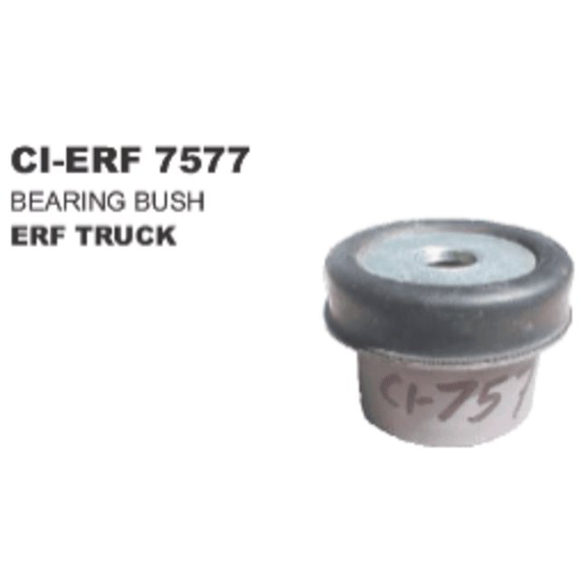 BEARING BUSH